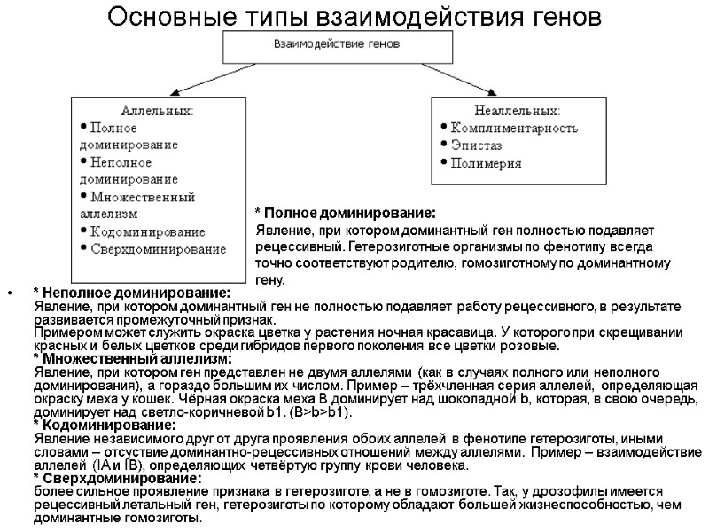 Основные типы взаимодействия генов * Неполное доминирование: Явление, при котором доминантный ген не полностью